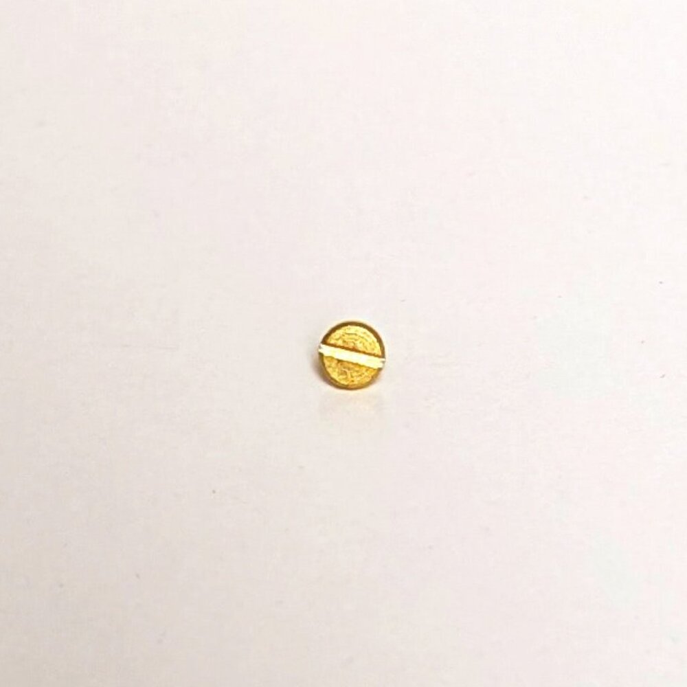 Replacement Screw for Charles Revson The Love Bracelet + Other Brands